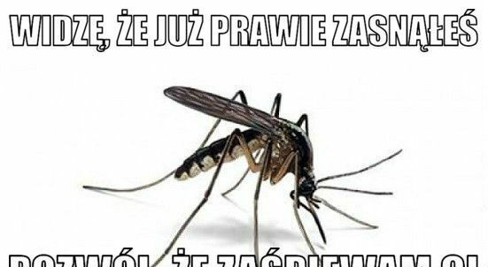 Już niedługo...