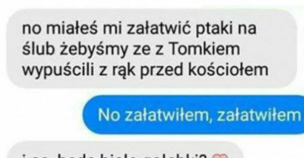 Ptaki na ślub
