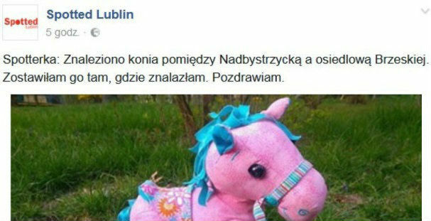 Znaleziono konia