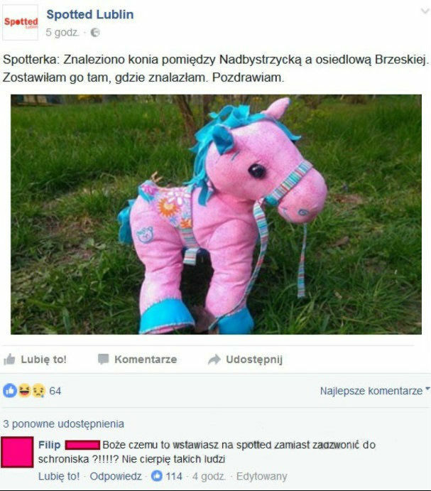 Znaleziono konia