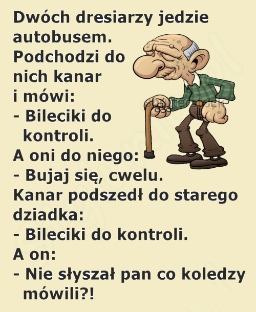 Dziadek wie jak wykorzystać sytuację 