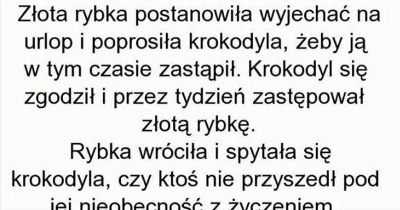 Złota rybka 