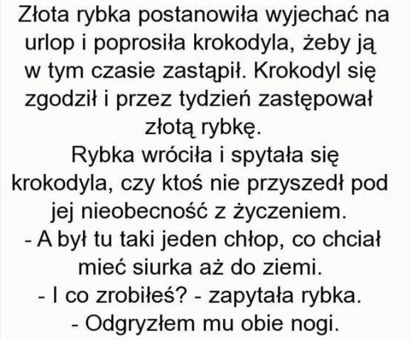Złota rybka 