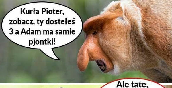 Pioter, bier Ty się do nauki!