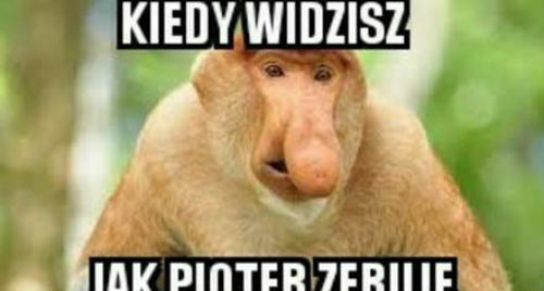 Wspomnienia wracają 