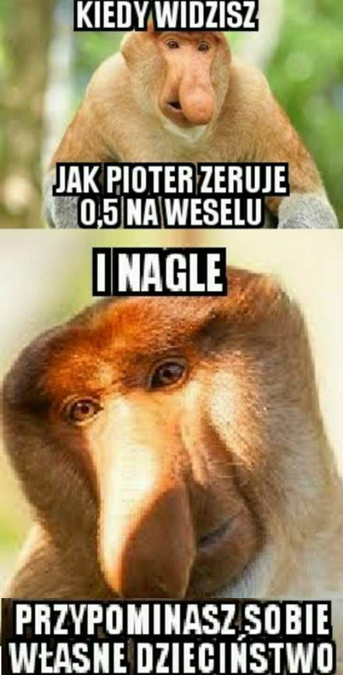 Wspomnienia wracają 