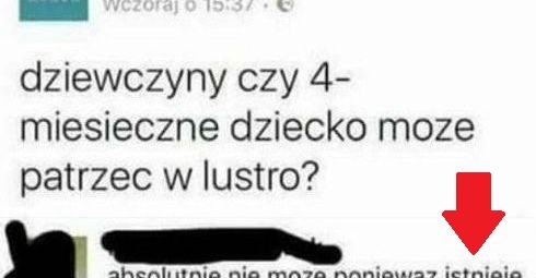 Madka pyta