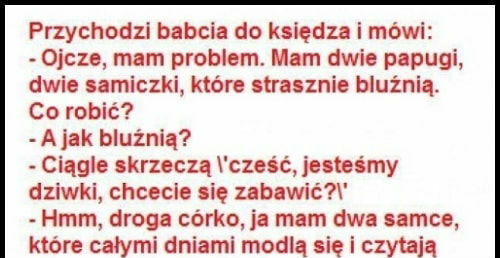 Ksiądz i papugi 