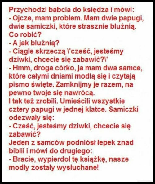 Ksiądz i papugi 
