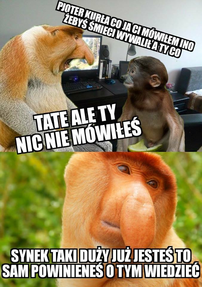 Tate, zrozum