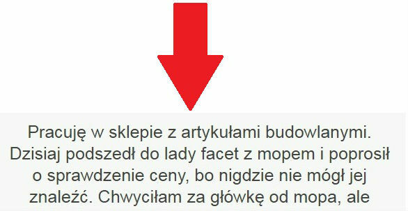 Przygoda z mopem