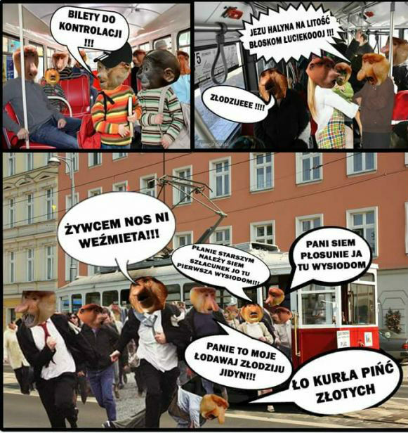 Żywcem nas nie weźmiecie 