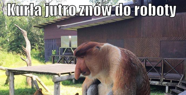 Jak żyć?