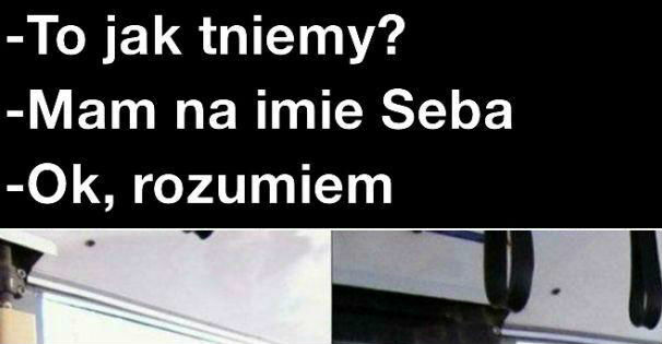 Fryzura dla Seby
