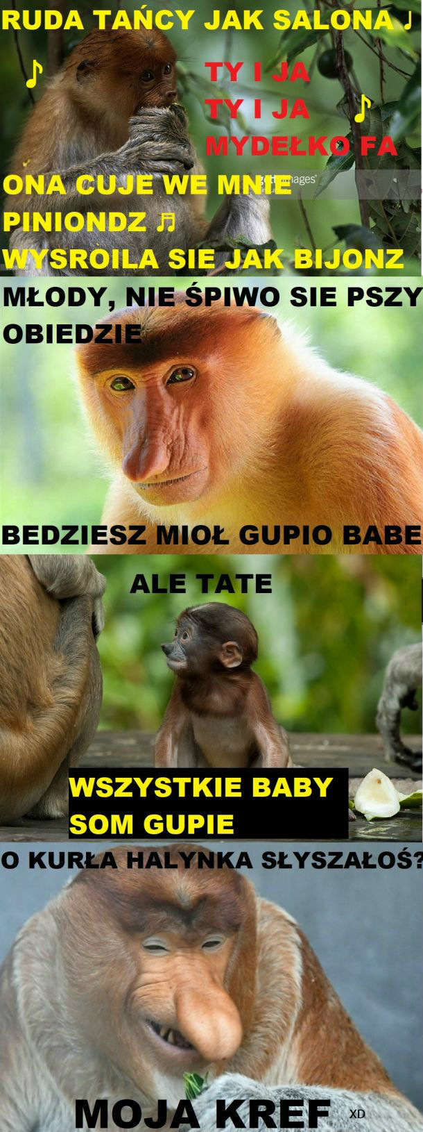 Moja krew