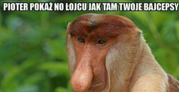 Poka te bajcepsy