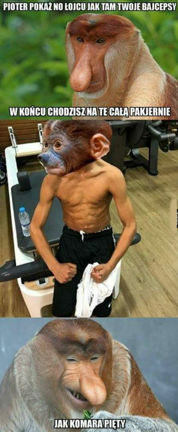 Poka te bajcepsy
