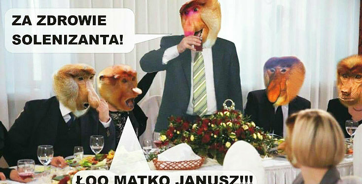 Kiedy Janusz popije