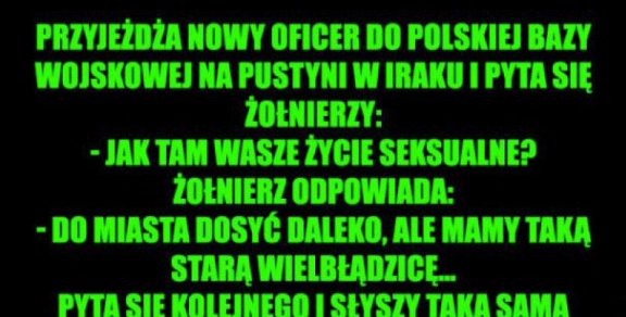 Nowy oficer