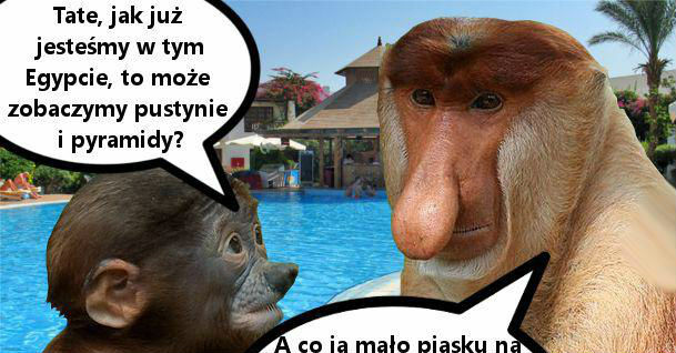 Urlop w Egipcie