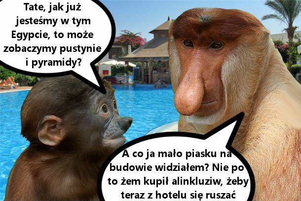 Urlop w Egipcie
