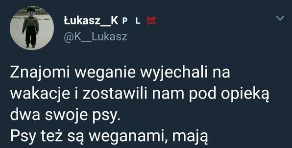 Wegańskie psy