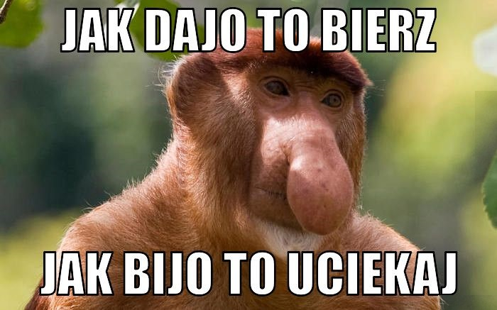 Dwie najważniejsze zasady 