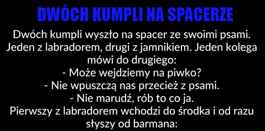 Dobry refleks