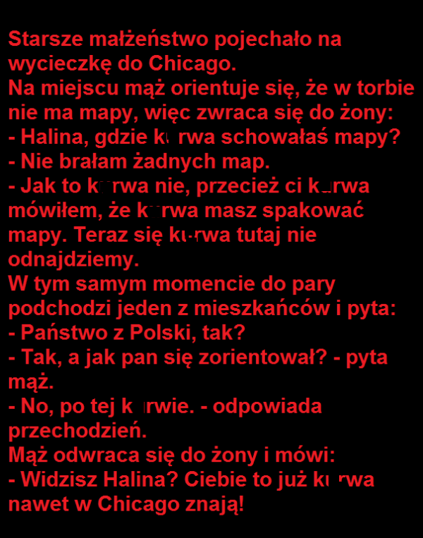 Starsze małżeństwo w Chicago 