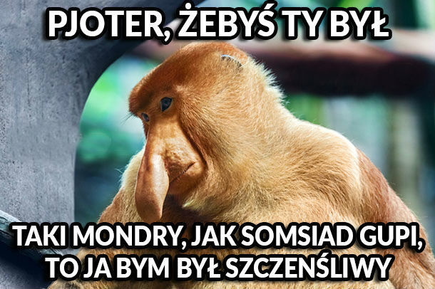 Ale by było!