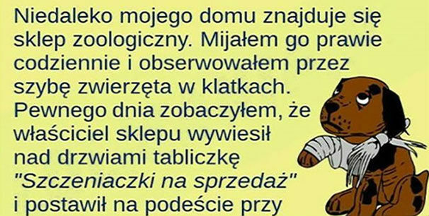 Historia, która daje do myślenia 