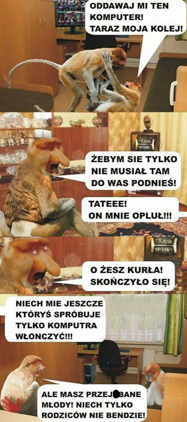 Kłótnia z bracikiem o komputer