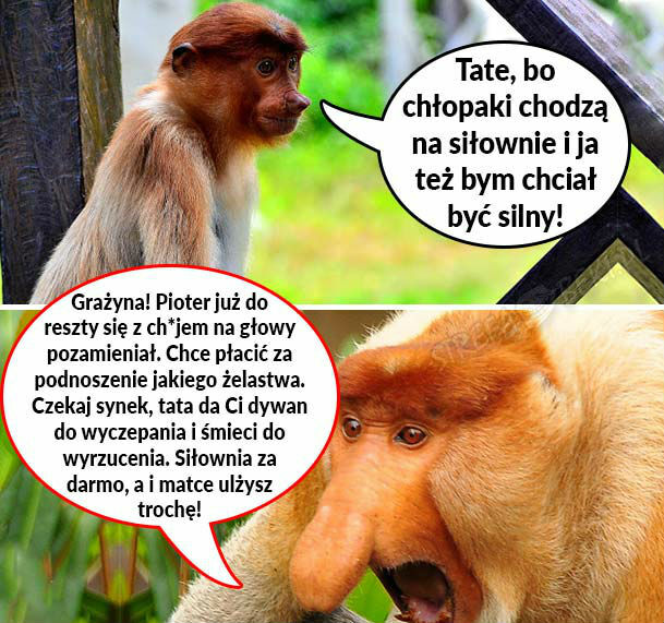 Siłownia u Janusza 