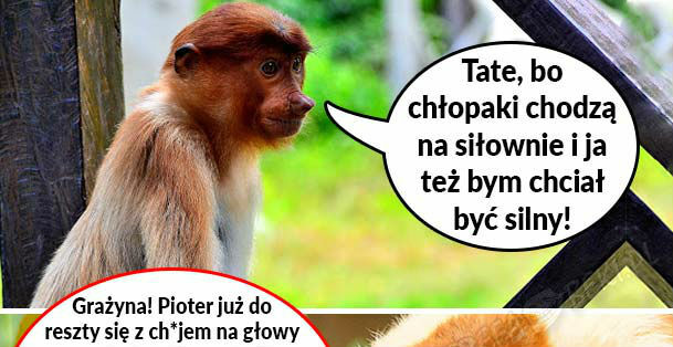 Siłownia u Janusza 