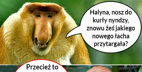 Halyna i jej nowe ciuszki
