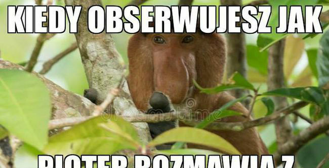 Monitoring 