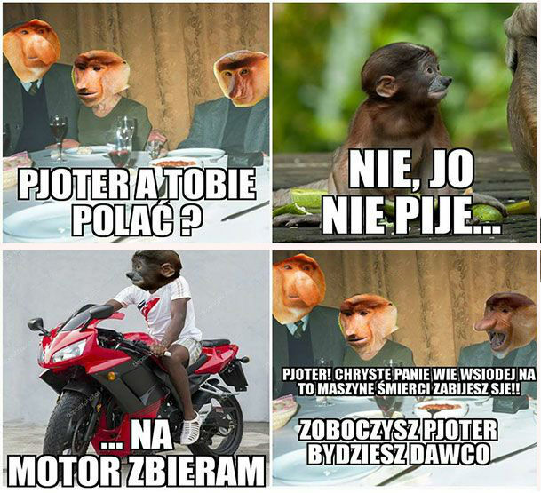 Pjoter zbiera pieniążki 