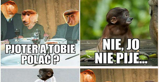 Pjoter zbiera pieniążki 