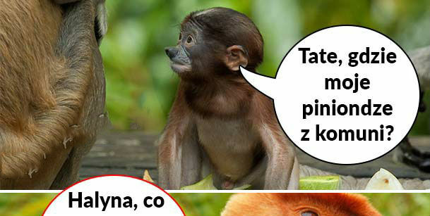 Piękna riposta Halynki
