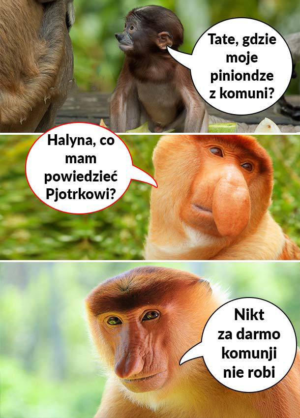 Piękna riposta Halynki