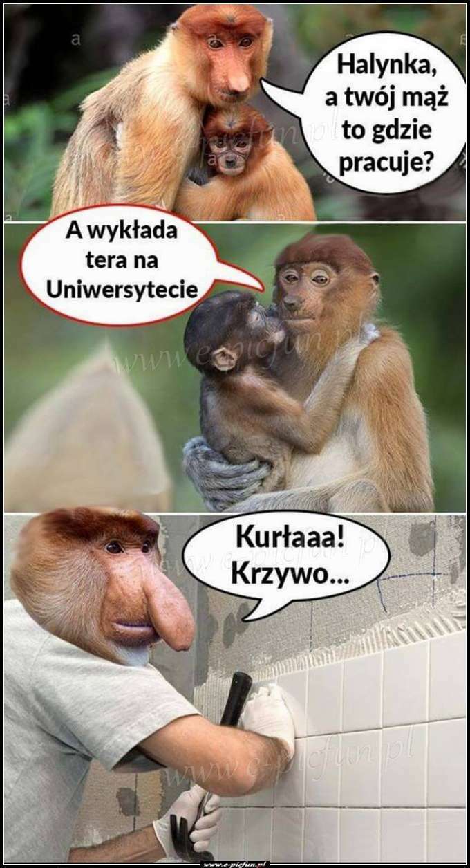 Praca Janusza 