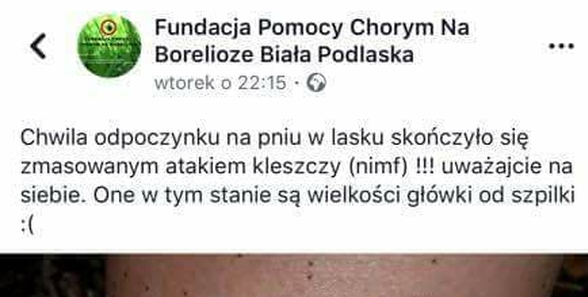 Zmasowany atak kleszczy 