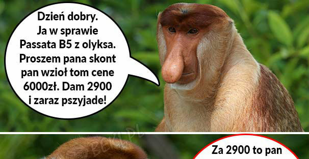 Kiedy Janusz Januszowi sprzedaje samochód