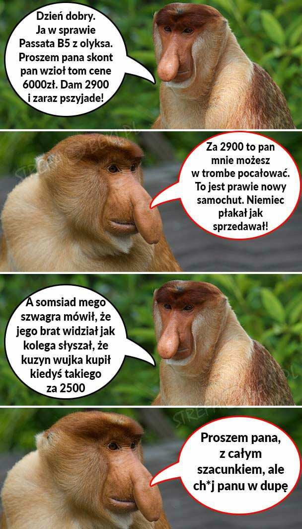 Kiedy Janusz Januszowi sprzedaje samochód
