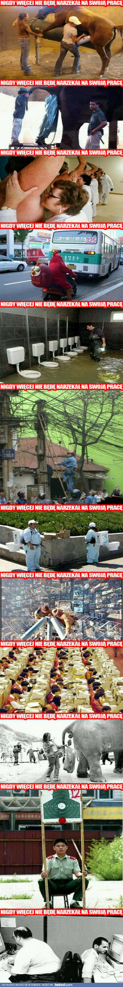 Nigdy więcej nie będę narzekał na swoją pracę