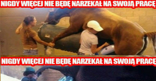 Nigdy więcej nie będę narzekał na swoją pracę