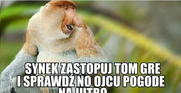 Sprawdź no mi pogodę 