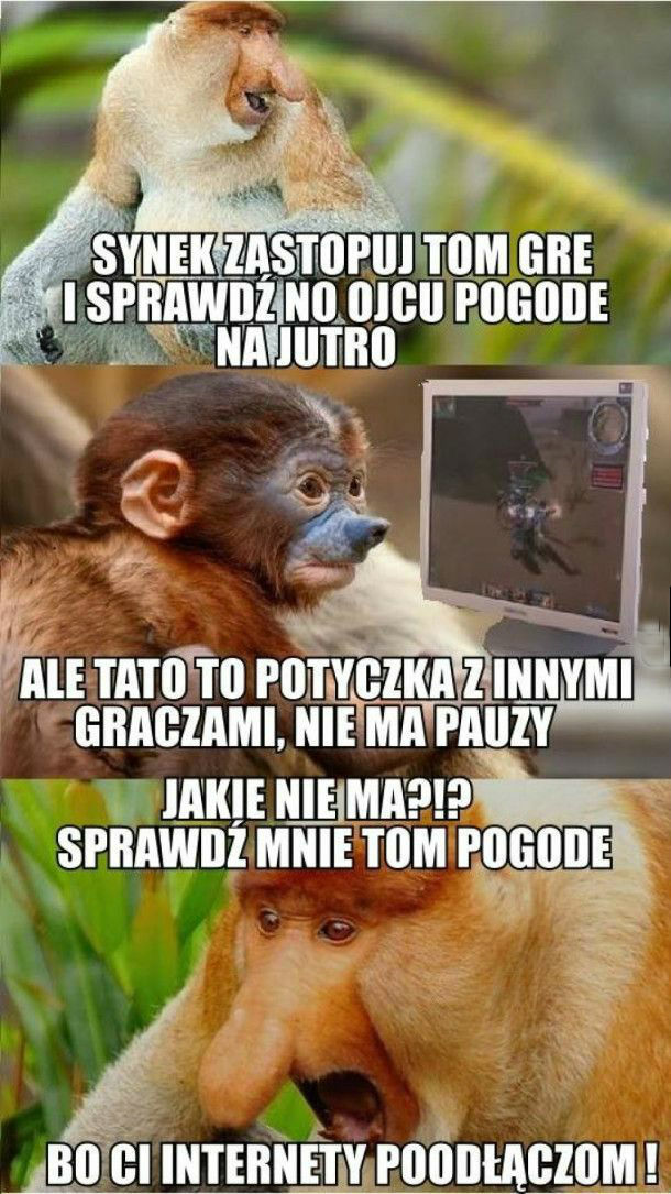 Sprawdź no mi pogodę 