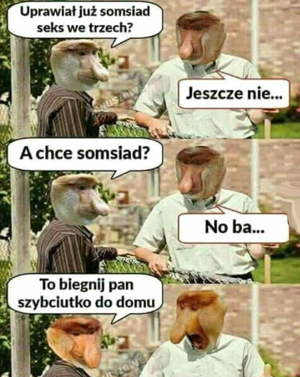 Uprawiał już somsiad?
