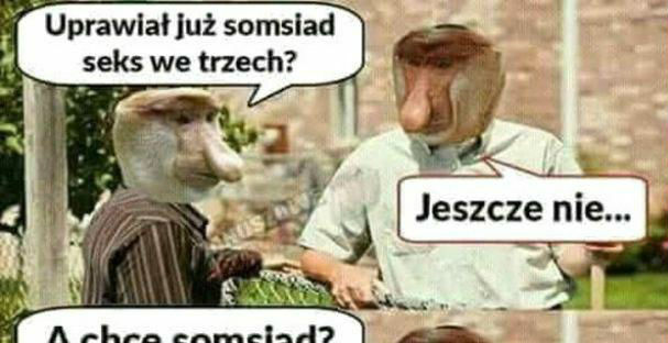 Uprawiał już somsiad?
